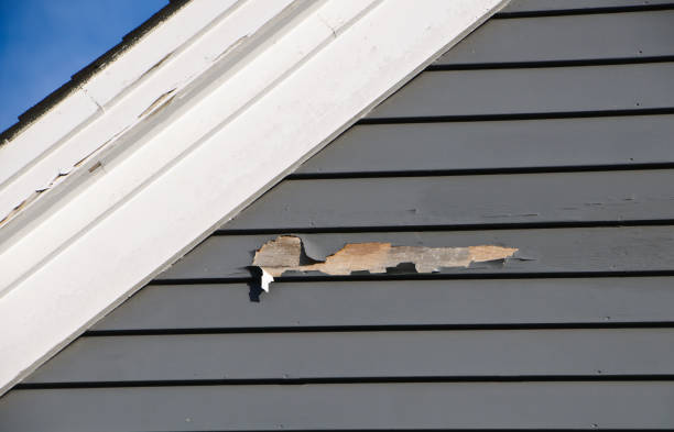 Best Attic Cleanout  in Lena, IL